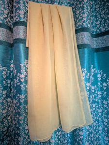 Elegant Golden Net Dupatta 2 combo