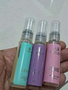 Cartoon London Combo Of 3 ( Trial Pack)