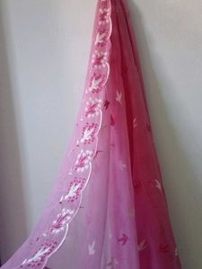 Elegant Embroidered Dupatta