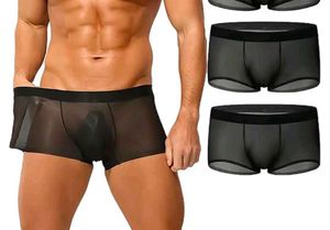 Sheer Mesh Boxer Briefs