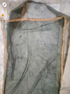 Elegant Net Dupatta with Border