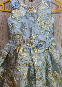 Girl&#39;s Feathered Party Dress