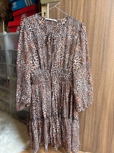 Zara Leopard Print Dress