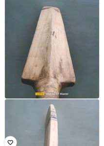 Willow Cricket Bat