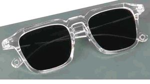 Clear Frame Sunglasses