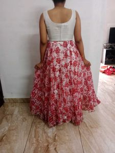 Organza Skirt And Top