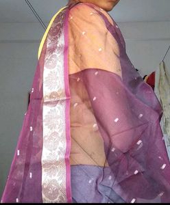 Elegant Maroon &amp; Gold Dupatta