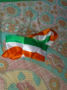 Indian Flag