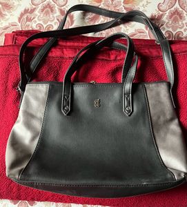 Baggit Handbag