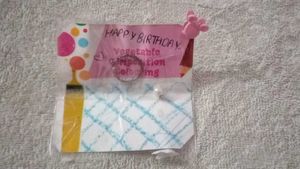 Assorted Hair Accessories Bundle