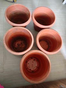 Terracotta Plant Pot