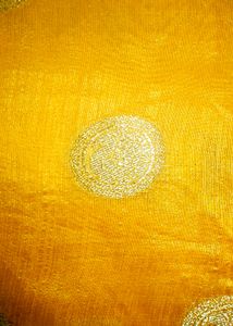 Haladi Function Saree