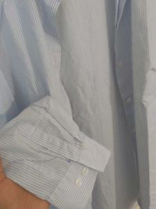 Trending Shirt