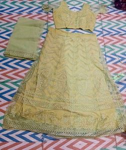 Embroidered Lehenga Choli