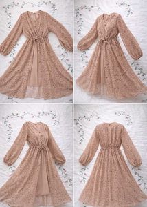 Elegant Sheer Long Sleeve Dress