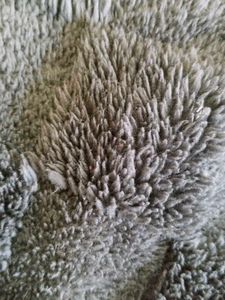 Grey Co-ord Set For Women