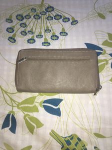 Baggit Women’s Wallet Beige Color