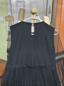 Zara Black Embroidered Mesh Dress