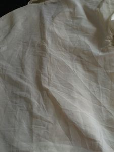 Professional Shirt