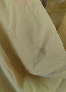 💛Forever 21 Cowl Neck Tie-Back Crop Top💛