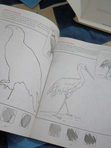 Combo Of Art Books (4)