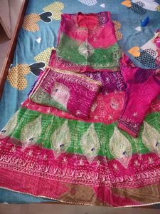 Rajputi Heavy Jari Design Poshak