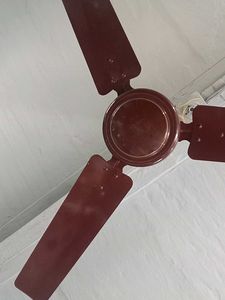 Ceiling Fan - Home Essential