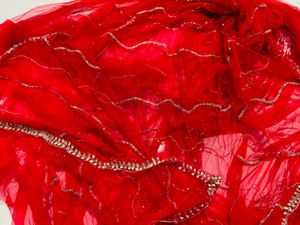 Red Net Saree