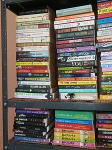 Huge Book Collection - Mystery, Romance &amp; More!