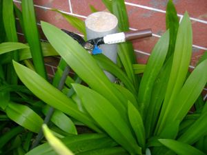 Sony Cybershot Dsc S500 Digital Camera