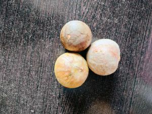 Seed