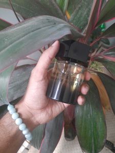 YSL la Nuit D&#39;lomme 100ml 🖤