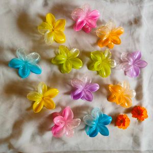 Colorful Flower Hair Clips
