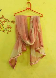 Pink Georgette Dupatta💕