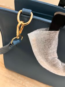 Hand Bag In Teal Color
