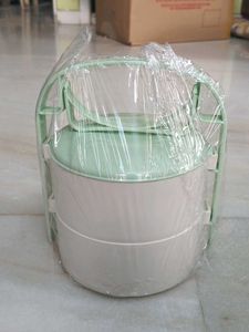 Cute Two-Tier Tiffin