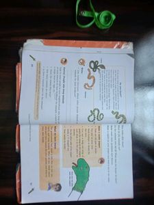 NCERT Textbook EVS For Class 5