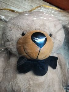 Teddy Bear 🧸🧸🧸