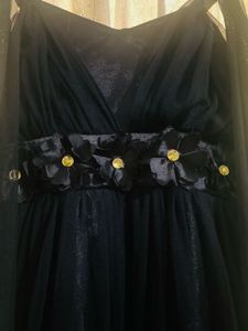 Elegant Black Net Sleeveless Gown