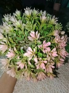 Artificial Plant Decor