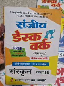 Class 10 Sanjiv Desk Work Books Bundle