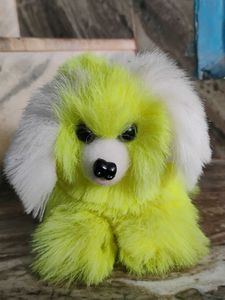 I Am Selling The Dog Teddy Bear Ready For Pick Up