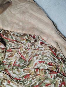 Vintage-Inspired Floral Saree With Blouse