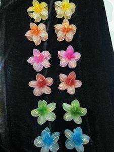 Flower Hair Clips - Set
