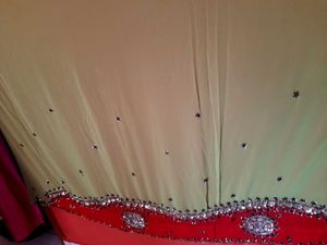 Red Green Heavy Zaree Chamki Saree