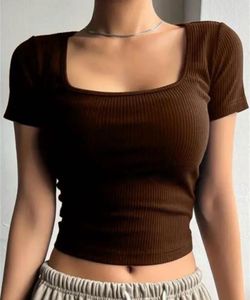 Brown Ribbed Crop Top