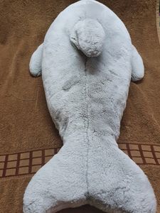 DOLPHIN - Good Size