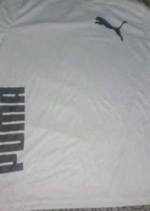 A Combo Of 2 ZEN1 Fashion XXL White Tee And Br