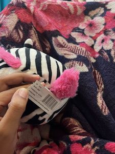 tracey the zebra