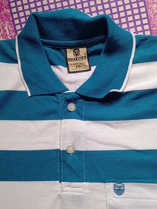 Maxcity Collar T Shirt Blue And White Colour T Shirt XXL no Flaws Koi Daag Dhabba Nahi Hai Collar Tshirt Xxl Full Size